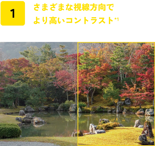 さまざまな視線方向でより高いコントラスト*1
